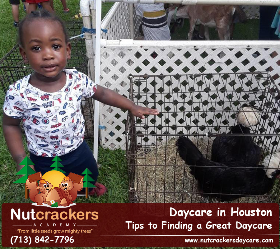 12 Daycare in Houston